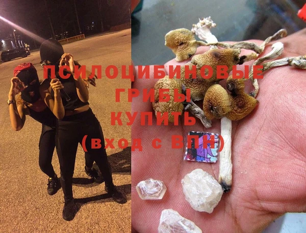 спайс Балабаново
