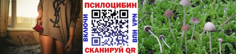 Псилоцибиновые грибы мицелий  Сольвычегодск 